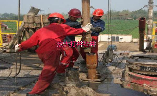 1651219717137679.jpg 2019012214045052.jpg